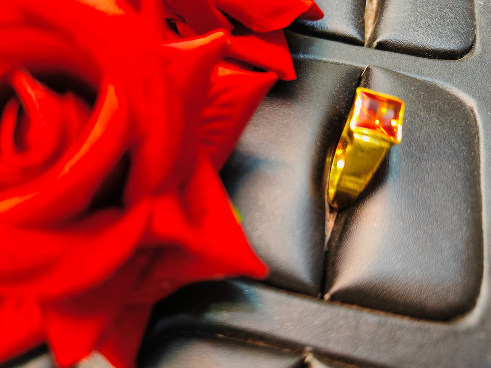 92D91D9B-95F0-403C-8FF4-210B2B61CEE4